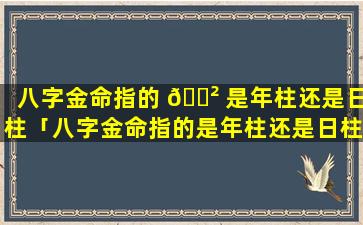 八字金命指的 🌲 是年柱还是日柱「八字金命指的是年柱还是日柱呢」